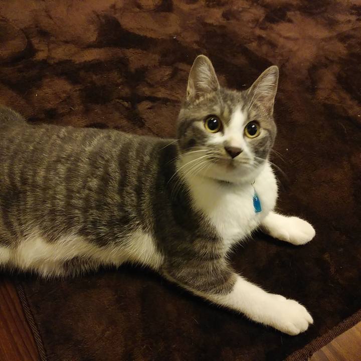 Df48c53c 0772 43e0 ad0e 0d5acdf3dae2 1576759643786