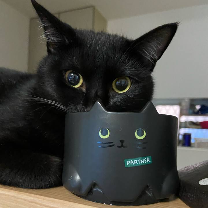 Df4929c4 39ed 4c5d 8ad9 5a195702e8dd 1629027667590