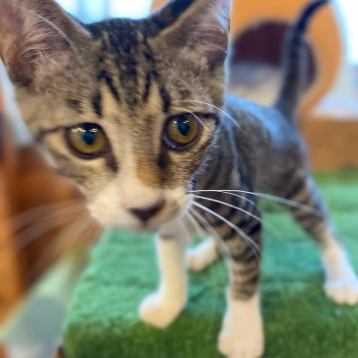 Df492bbf 2d20 47bd a5f4 840c6cac007e 1628944192755