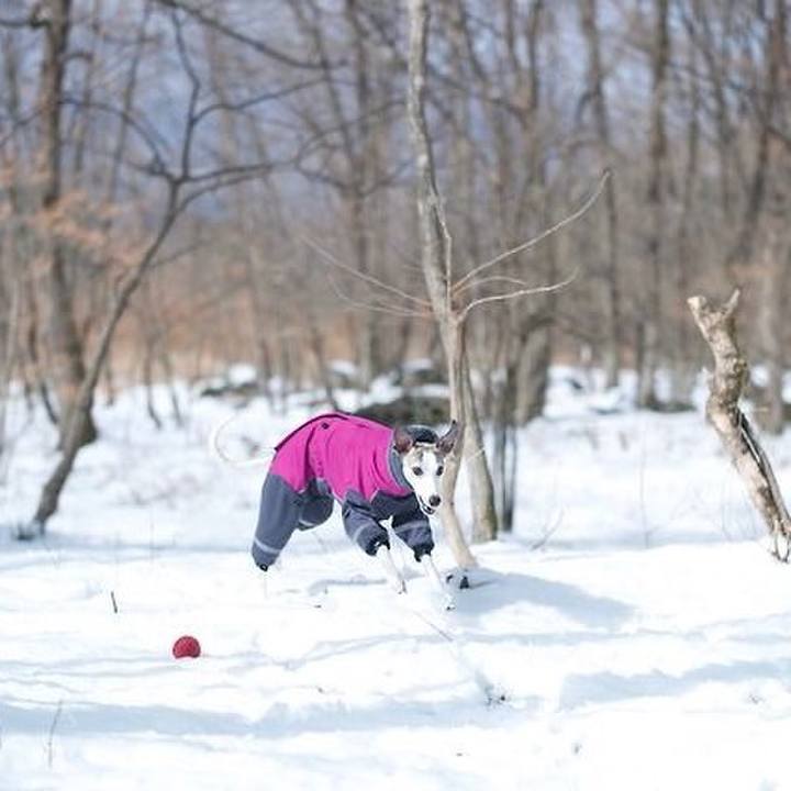 Df4966e5 5b67 4167 99de 9a8ae08ef23d 1519315773573