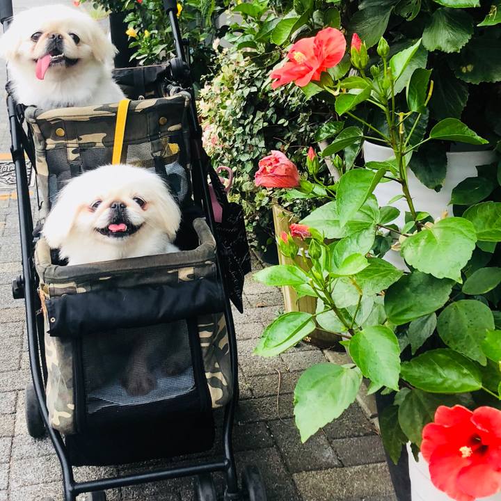 Df496952 f2d2 40a2 8755 5832a8f9ab6c 1598585329205