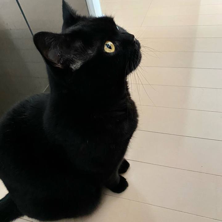 Df4987a7 a7cd 4dc8 a9a6 ae18e4836a97 1698490485323