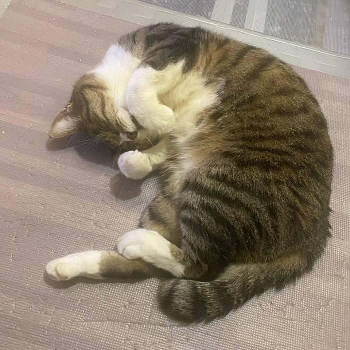 Df49ab9b c84c 404f 8e0a d1333d109538 1654179265577