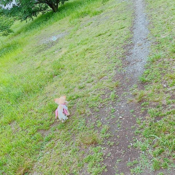 Df49b5e6 8c0b 4164 a37e 6264ec4a29b1 1621486704779