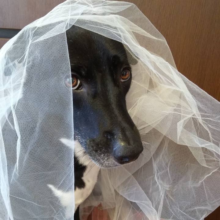 Df49cb64 7dbe 415b 8aa8 35638acf68c3 1629456159912