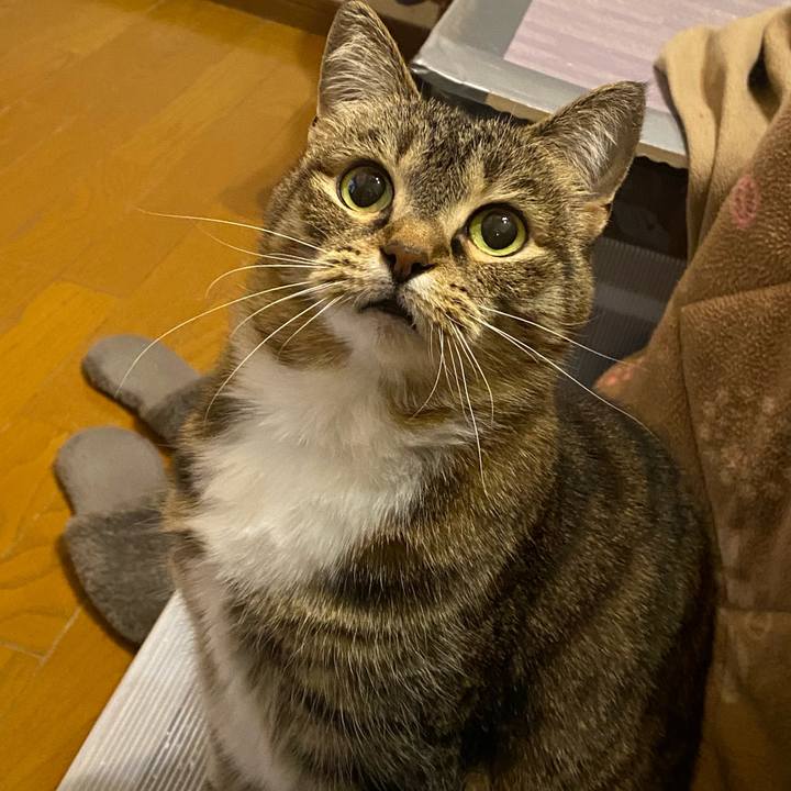 Df4a098e ac5c 44a4 ba2e 95d10a302113 1644768348365