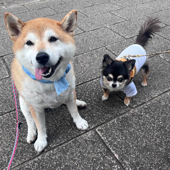 Df4a2335 6410 4dde b0cd 9e5653fe6dab 1719221252362