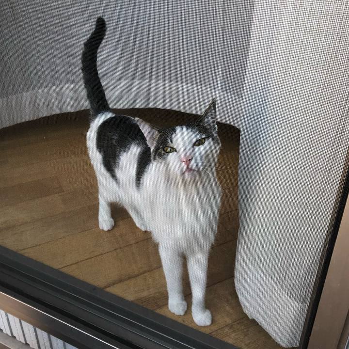 Df4a38a9 477d 4c27 a1ec 868b329682af 1590631900661