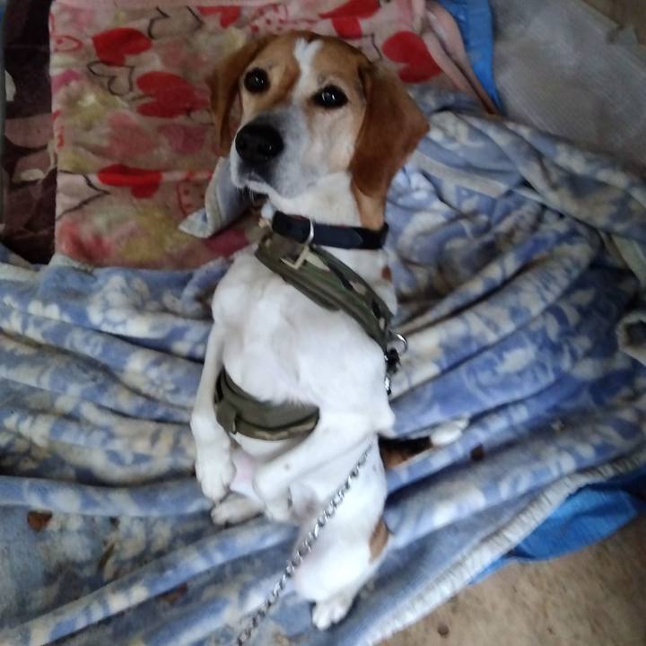 Df4a89a4 ba2d 422d 913d c42037666f5b 1681966316426