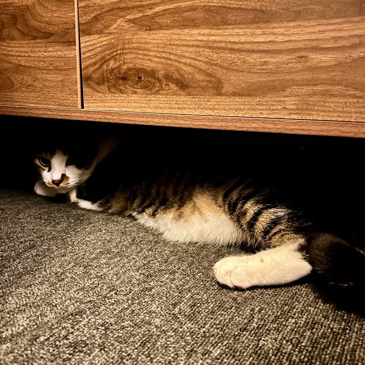 Df4aa9b9 08c1 4b7a ae5f 3e8c6fcec555 1758982878470