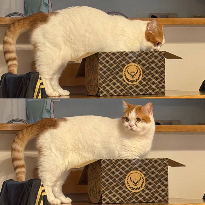 Df4ace72 926f 4fad af75 f6cb0a468083 1775812949163