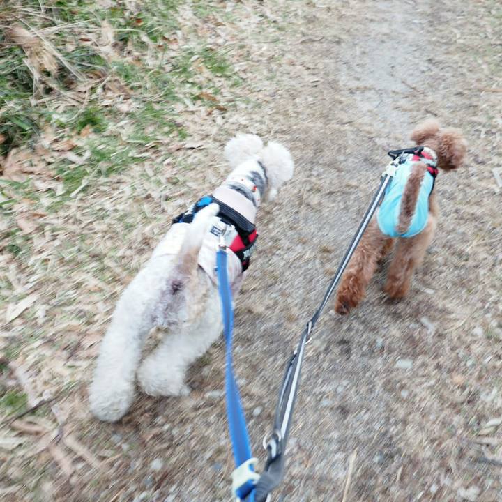 Df4ad8b9 092d 408c 9450 5d73a8817f03 1519100043780