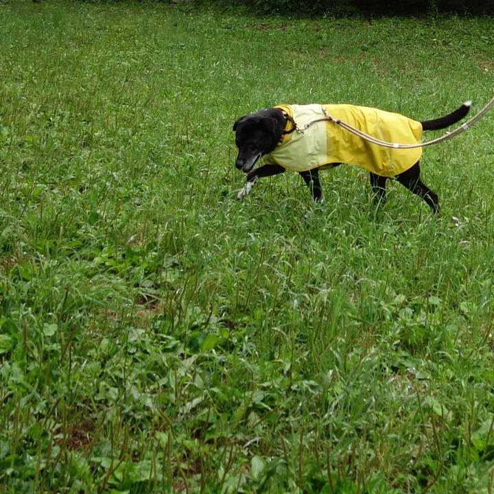 Df4af47c 23a5 4df6 a759 27d827706416 1748908371698