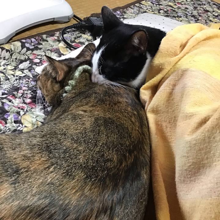 Df4af571 cacb 49e5 851e 0414c17b69fb 1640393476017