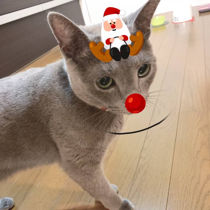 Df4b111f f743 4406 aa4f 3d601227a8c4 1608813564436