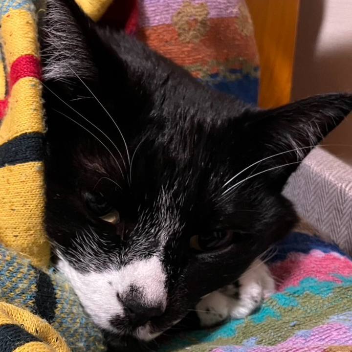 Df4b1c90 a0a4 451f bbd5 30d752f2f0ee 1747450989519