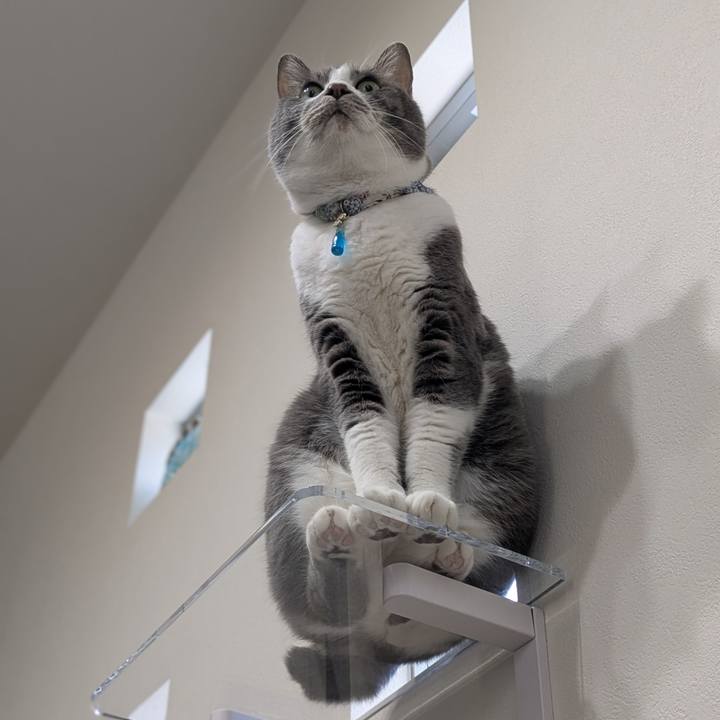 Df4b1e34 019b 46de ab1c 76f9b976318d 1745213460073