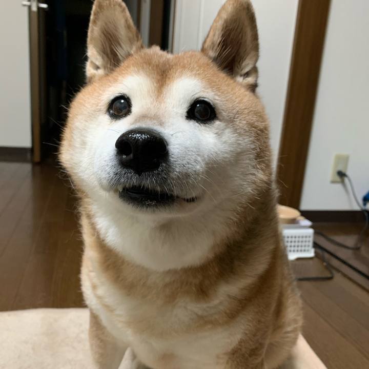 Df4b29bf fe2e 4ba8 9287 26f4401f1359 1573560258395