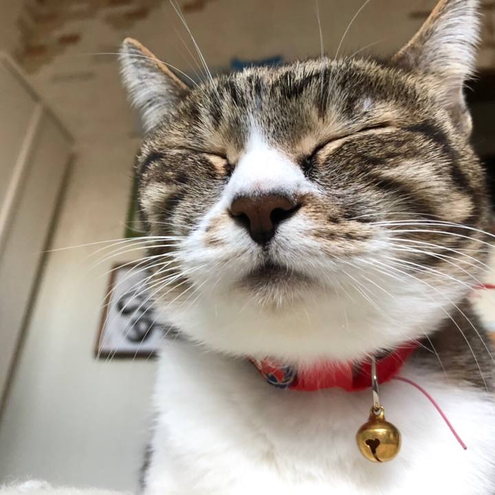 Df4b6b6f 5c73 4060 9edc d6a025678423 1550243335941