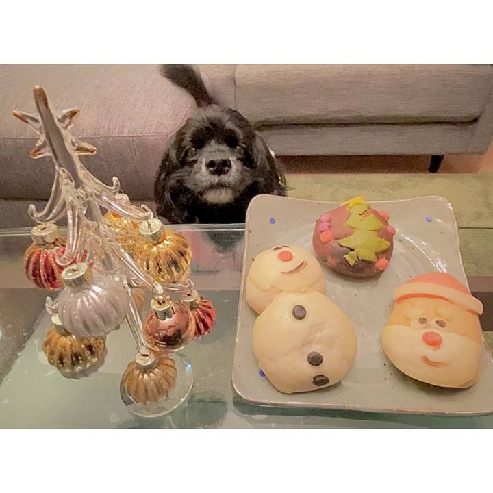 Df4b847a e395 4e08 aec3 812be35660d8 1671967403979