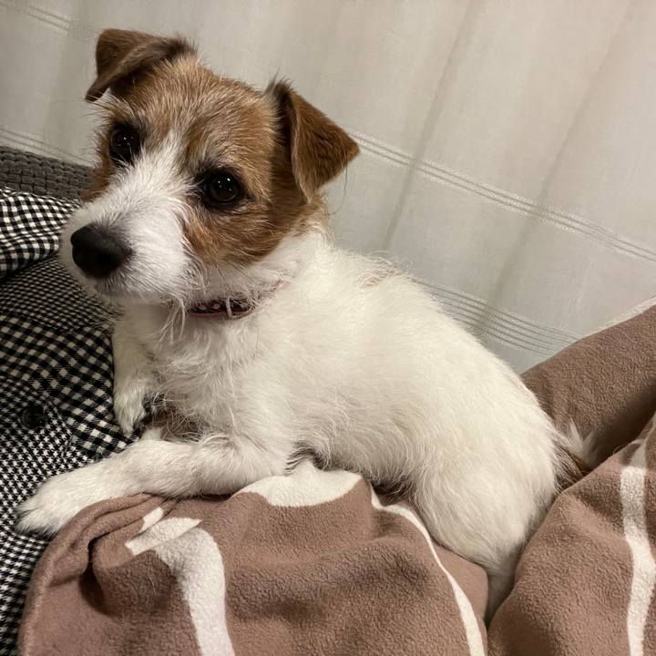 Df4b8eab 9587 43a0 b5c3 5cb48117ccd7 1730722632616