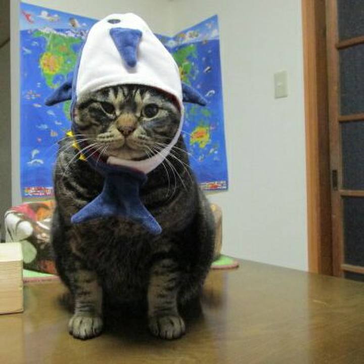 Df4b908f bb9a 458d 8fbc 3058d49b3d76 1518434382633