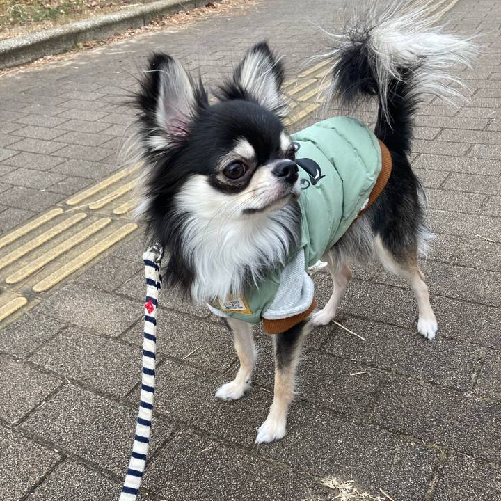 Df4ba121 916e 404b 8f51 8e56471773dd 1610339196189