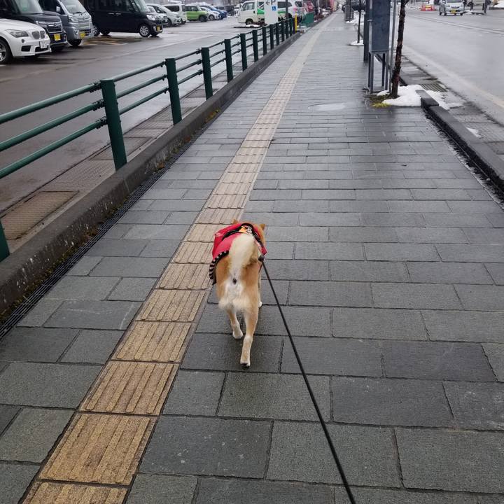 Df4ba643 dccd 4624 b195 25e0aa440f33 1676782311135