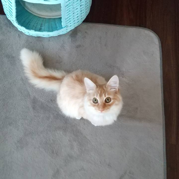 Df4bca12 abc5 434e af07 92ebb95c118a 1619042085867