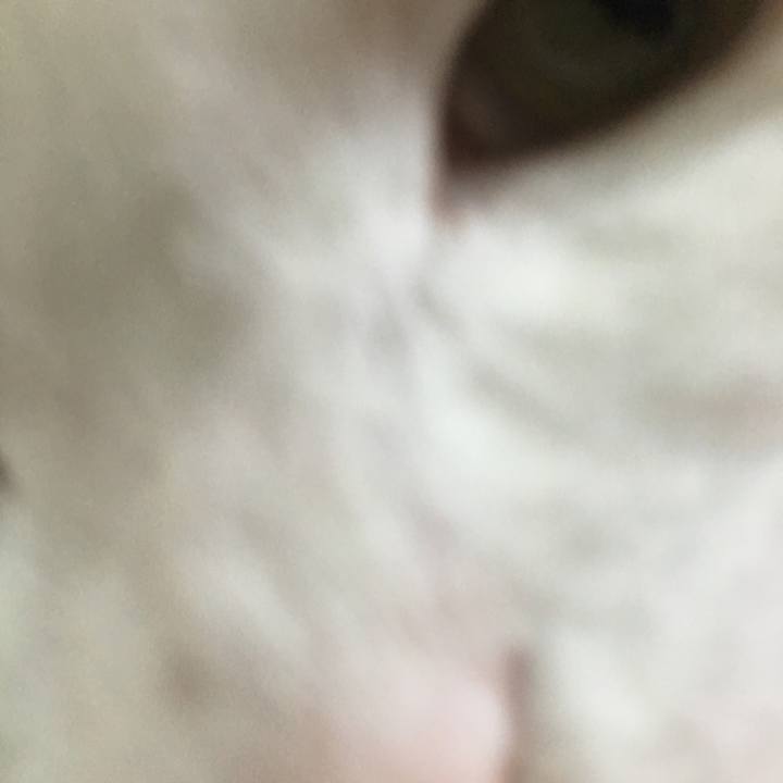 Df4bf49d 1d42 4198 89b8 a69394100984 1523109338557