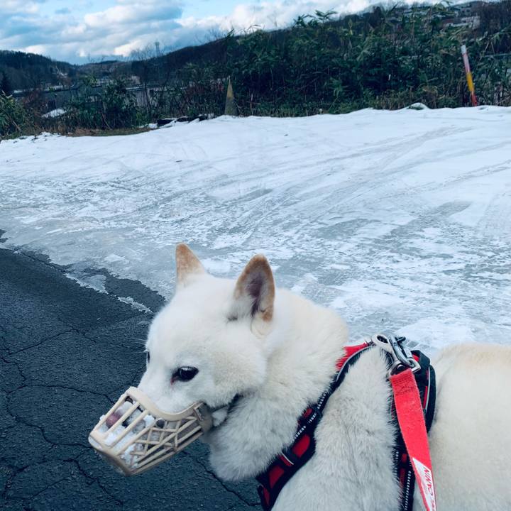 Df4bf56f ed9e 4281 ba62 993513ca1468 1607497773802