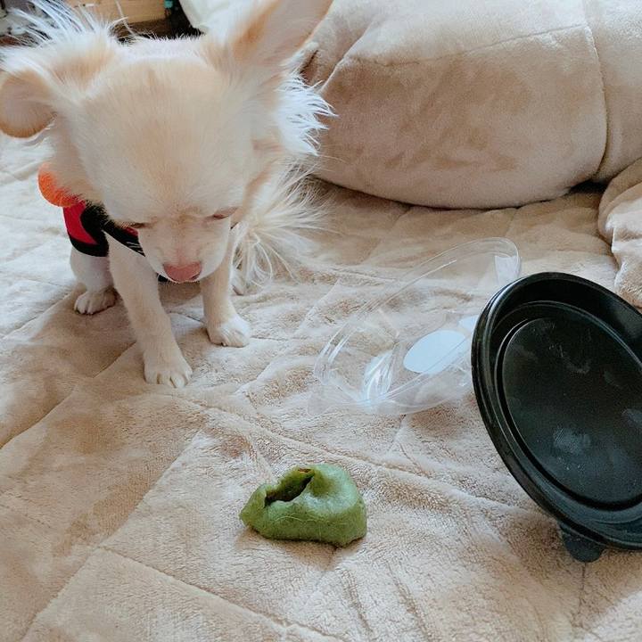 Df4c0488 bf01 4897 85fd 17367819f3fe 1612774825391