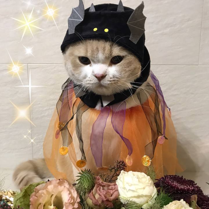 Df4c2dd6 e3c9 4c26 9bb6 da9ae03ec949 1508157849285