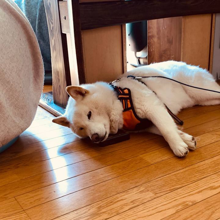 Df4c43b6 9c58 47a8 b299 78554db23d68 1650515589371