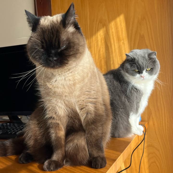 Df4c5595 86d3 4fb7 a2d9 ab064b9683f2 1739168499173