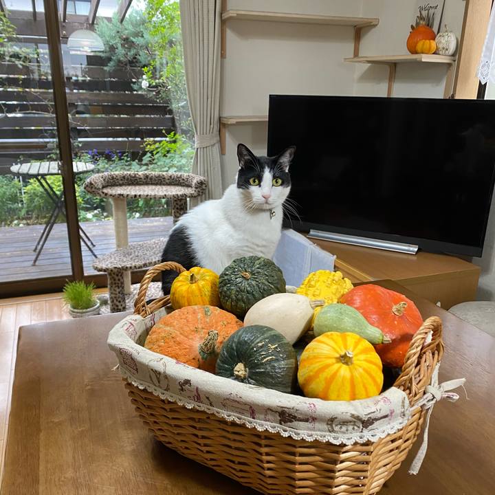 Df4c6b0d afec 44b1 bf86 b4ac207c56ae 1601938306451