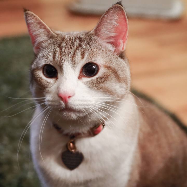 Df4c7b1d 9d88 4a25 9b96 10bcb516ce0f 1614478102008