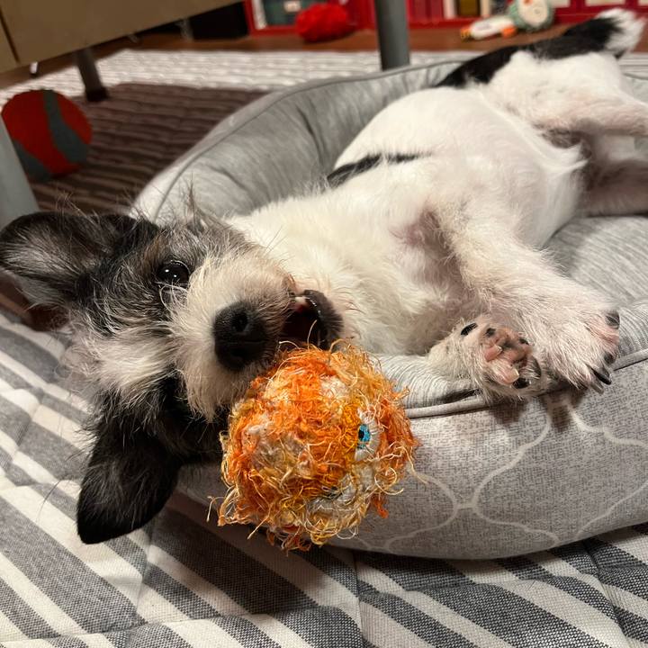 Df4cd8cf 5672 416c a838 f464d5325c5f 1749732476278