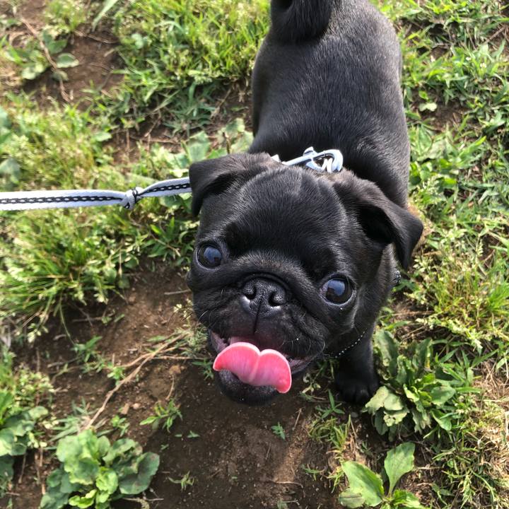 Df4cf040 4e87 4b04 9227 3a00590562b4 1591138398068