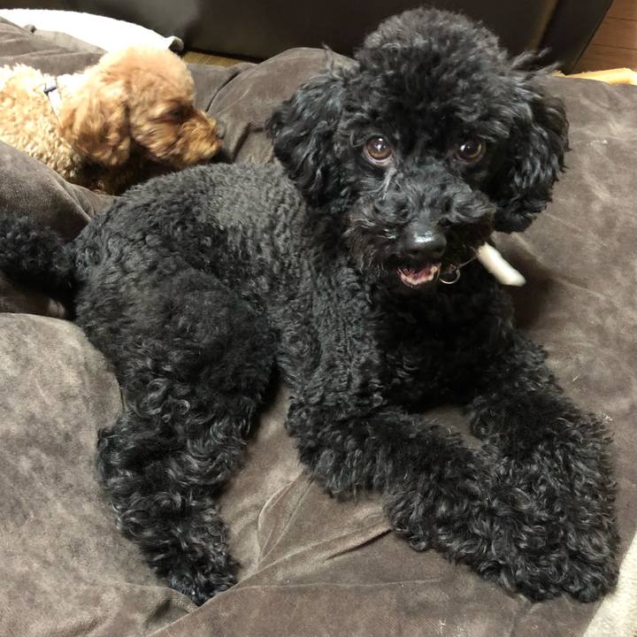 Df4d235f 71fd 4128 9d5a e42f10669897 1547504442508