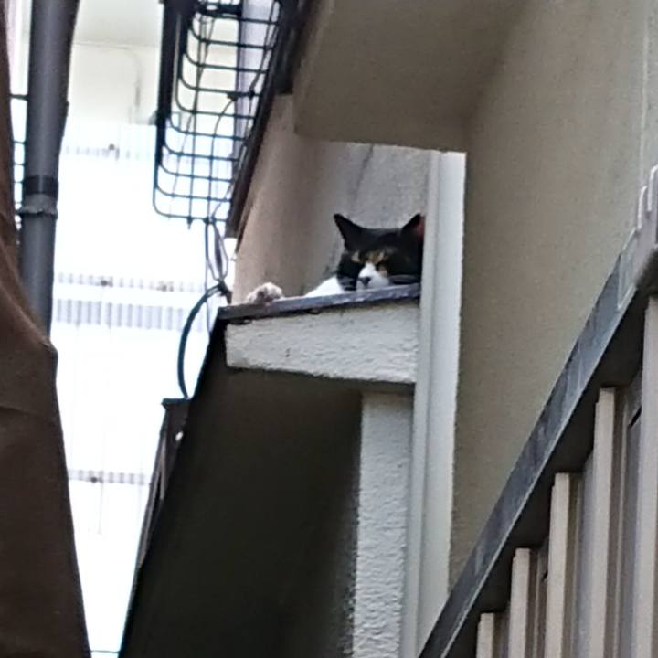 Df4d6e4d 4b6e 4141 8957 e35291fce241 1627046303635