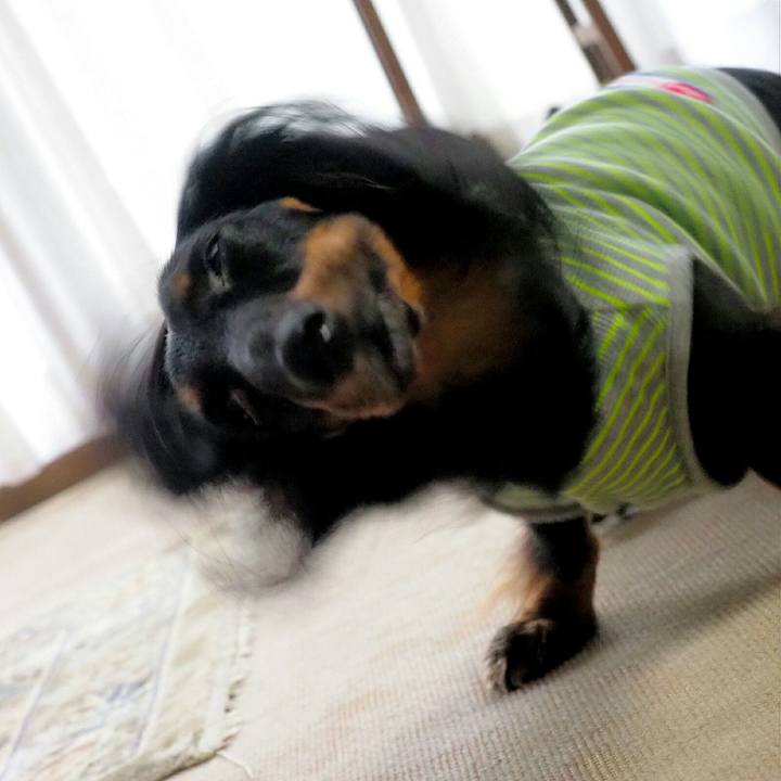 Df4d882a a952 43bc ae44 1f0361bfa477 1535252582901