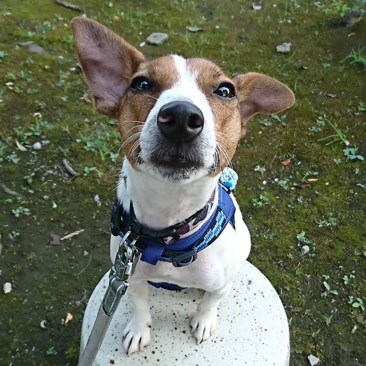 Df4d8d43 4652 475e 8254 ea0746fd48bc 1533161763193