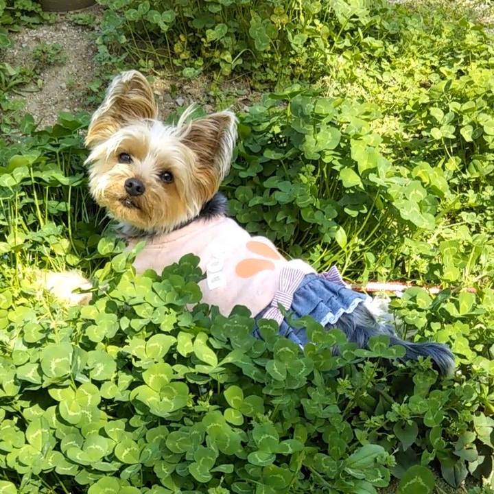 Df4dad13 bb04 4605 b403 9698d60166e9 1617598863997