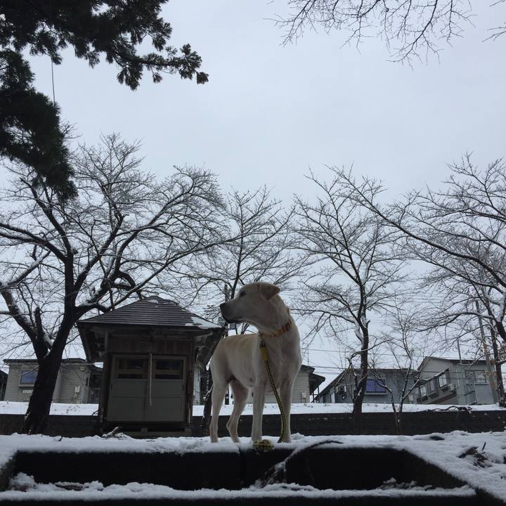 Df4db03d 6397 471a bae9 df0ec13585b1 1513733325291