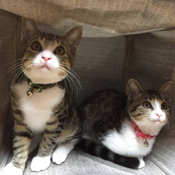 Df4dc2fa dcef 4c58 ac5f e9c65fd0dab6 1664231758207