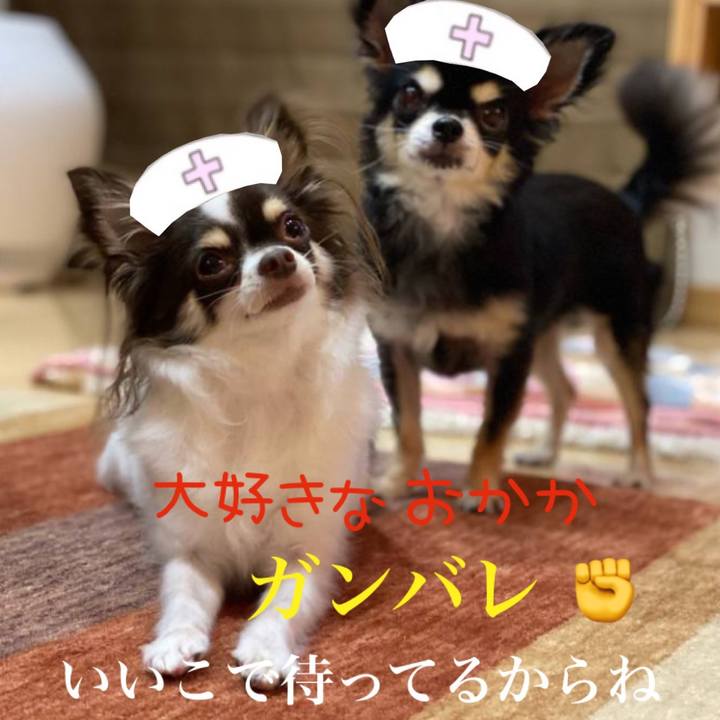 Df4dc386 26a9 428c 8e4d 381a17058c77 1641867461556