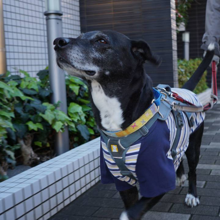 Df4dc8f8 45bf 44a7 9fdb f8970fb6962e 1766711055406