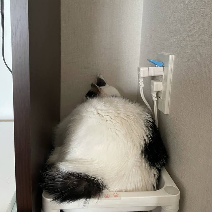 Df4dcd8d 60aa 4f58 b4f0 51693eda710e 1630826112272