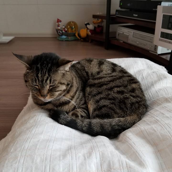 Df4e4107 f5d3 4a1c aa4c c9b11c9ae16c 1622325123872